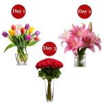 Three Days Of Romance