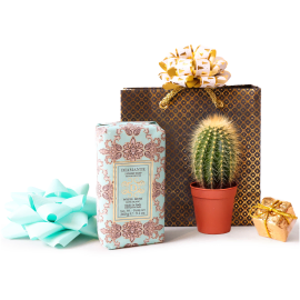 Japan work-from-home gift hampers with international delivery