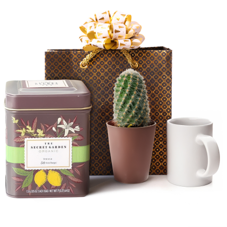 Cactus and Tea Delight