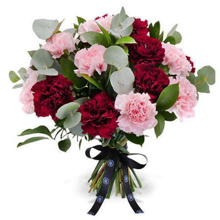 Crimson Charm Carnations
