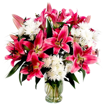 Stargazing amongst the clouds