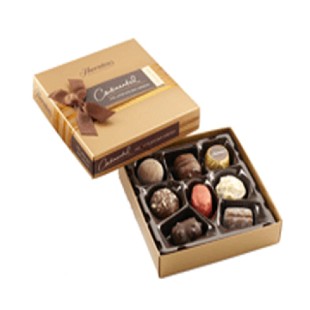 Thorntons Chocolates Classic 100 g Gift box